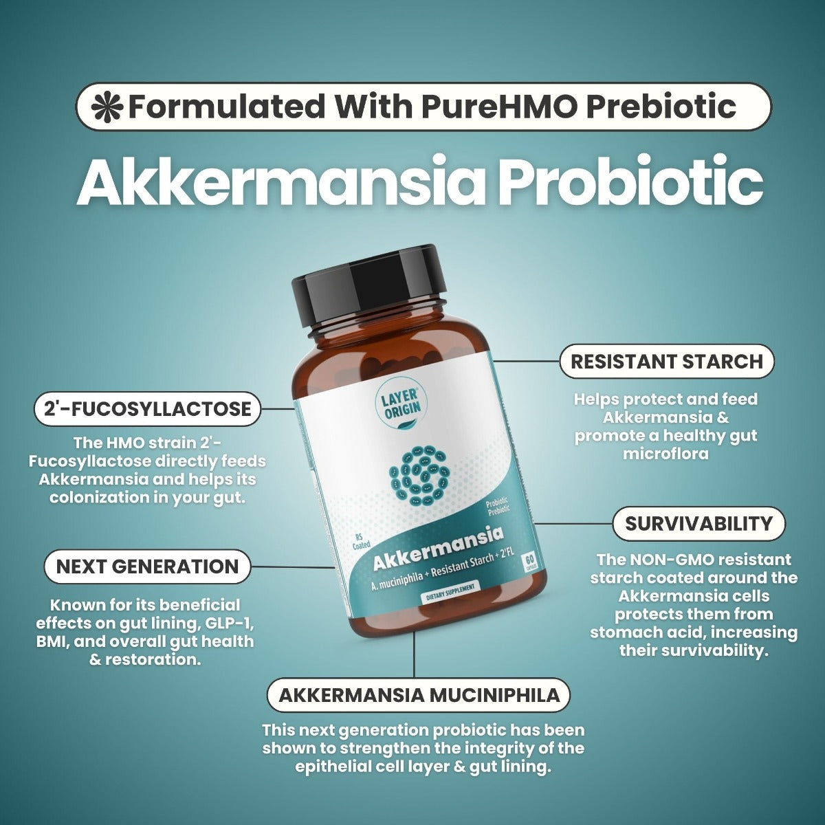Akkermansia Ingredients