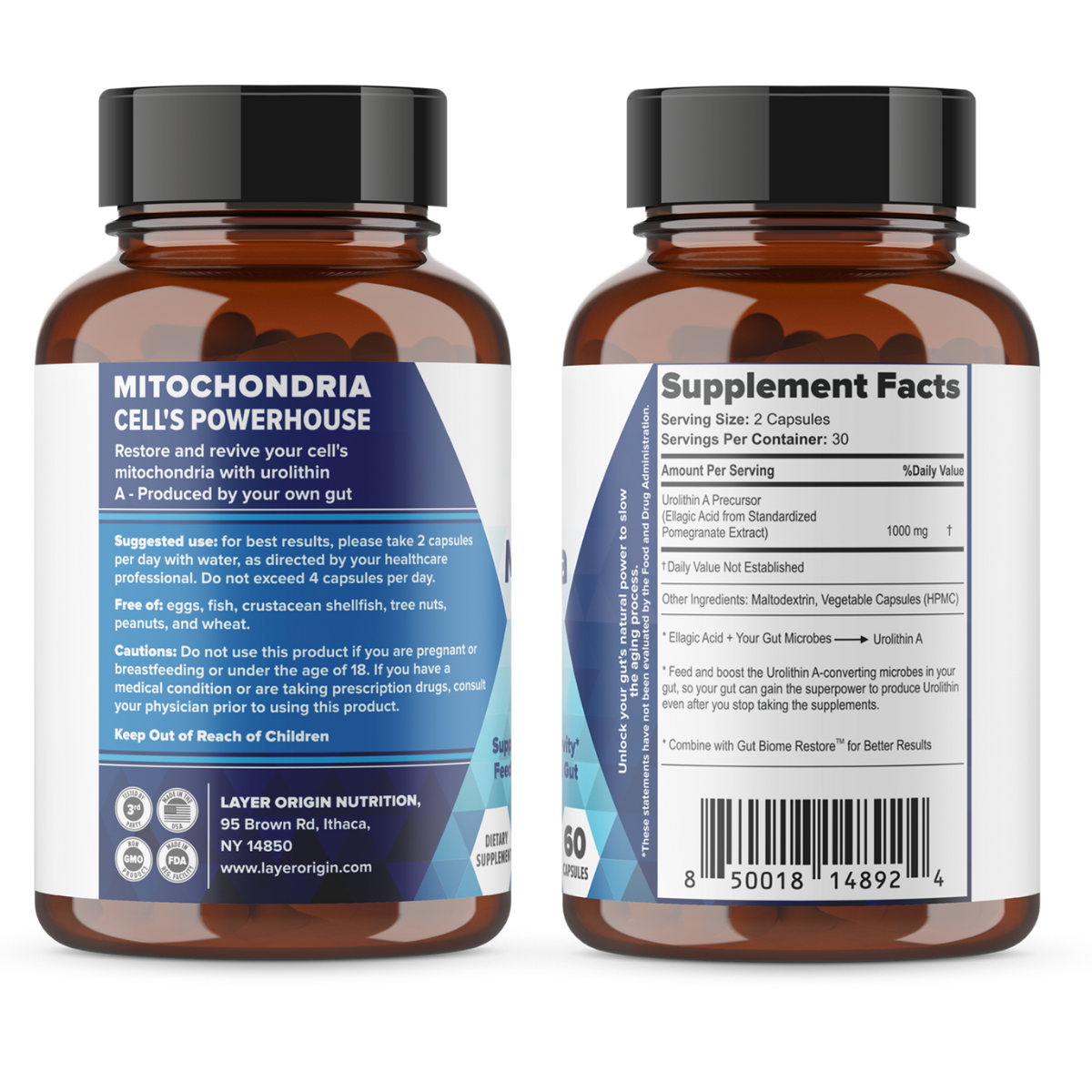 The MitiAging Anti-Aging Bundle: Gut Biome Restore™ and Mitochondria Restore &amp; Revive™